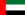 UAE flag